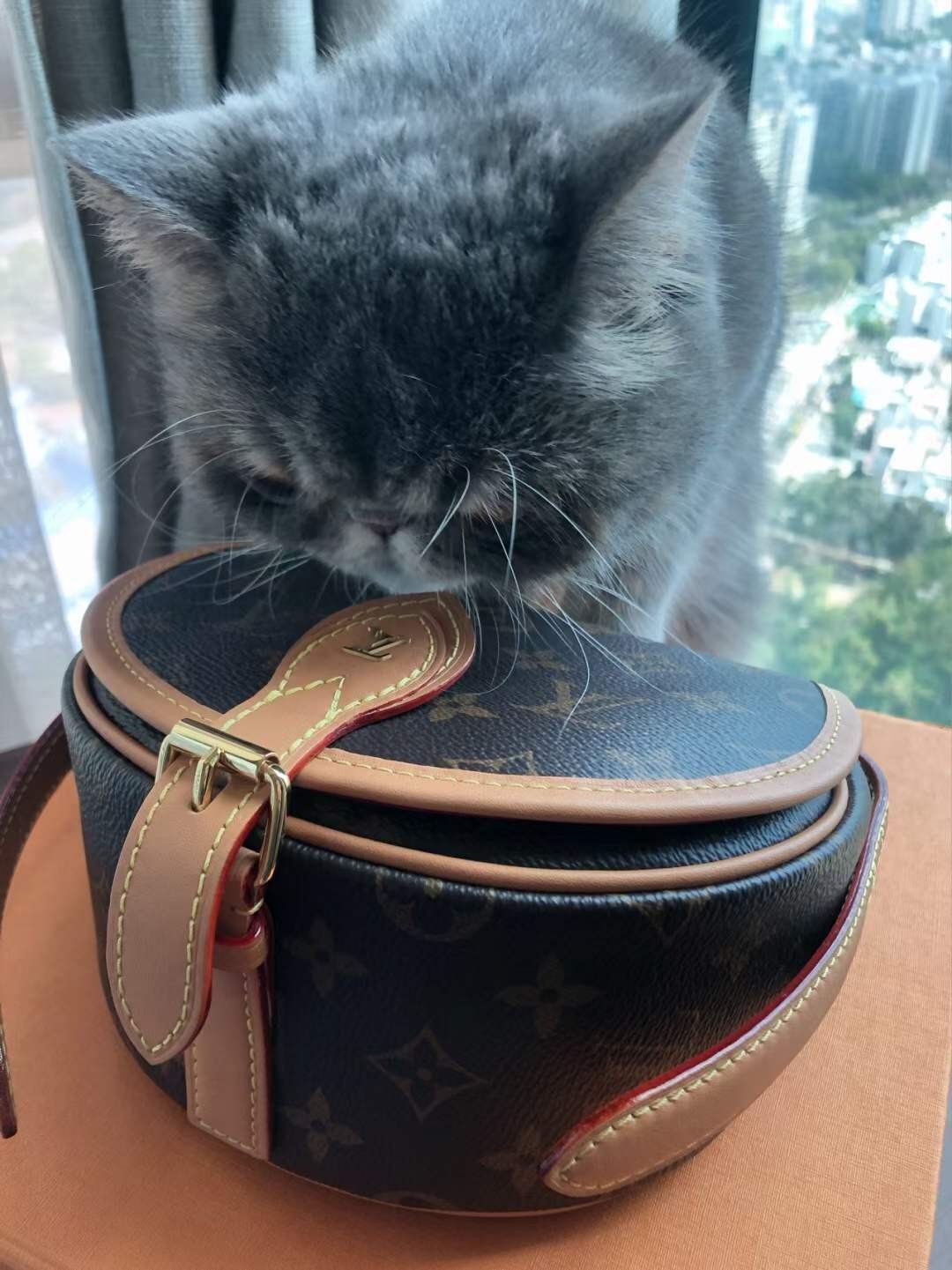 Louis Vuitton M44860 Tambourin Top Replica Handbags Customer’s photo (2022 Special)-Best Quality Fake designer Bag Review, Replica designer bag ru Louis Vuitton M44860 Tambourin Top Replica Handbags Customer’s photo (2022 Special)-Best Quality Fake designer Bag Review, Replica designer bag ru