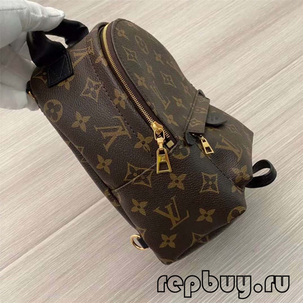 Louis Vuitton M44873 Palm Spring 23cm backpack top replica bags (2022 Special)-Best Quality Fake designer Bag Review, Replica designer bag ru