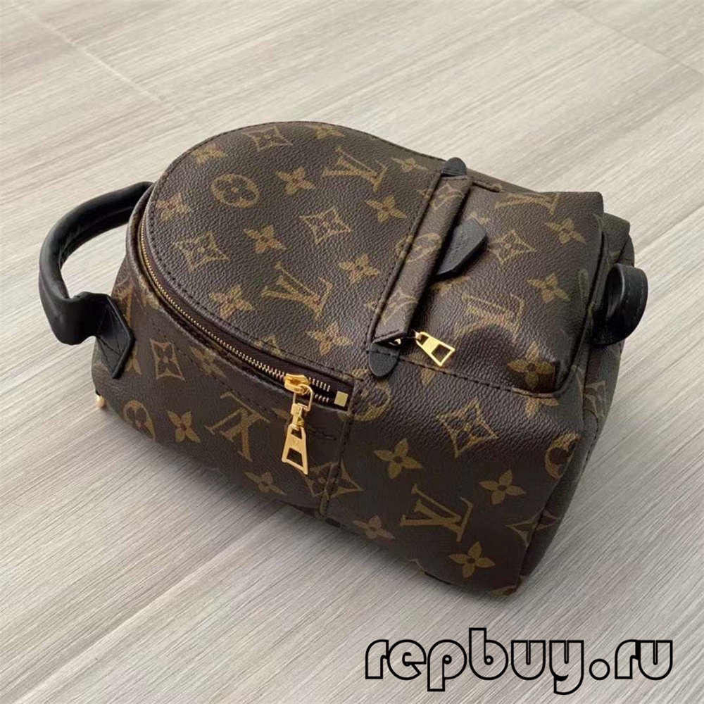 Louis Vuitton M44873 Palm Spring 23cm backpack top replica bags (2022 Special)-Best Quality Fake designer Bag Review, Replica designer bag ru