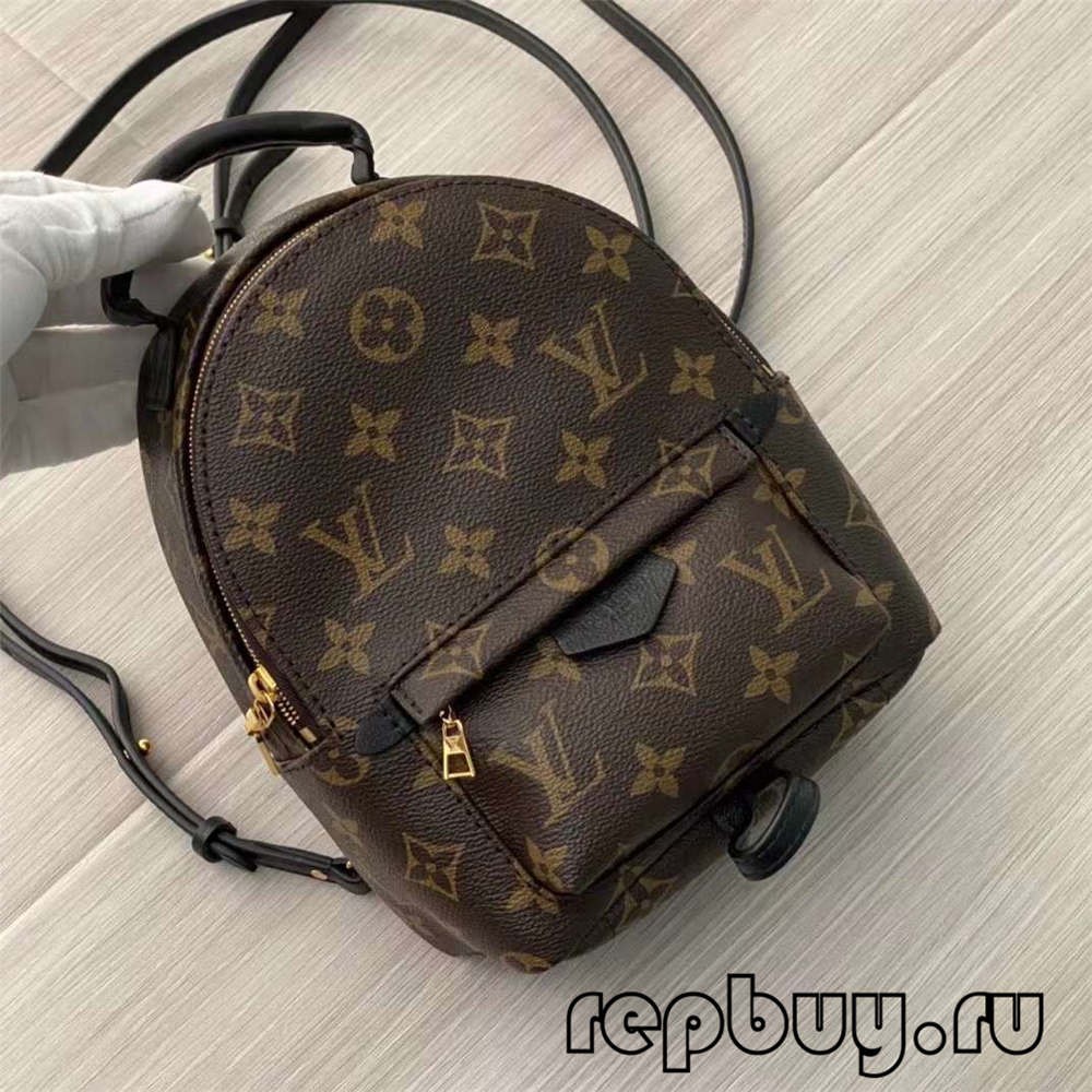 Louis Vuitton M44873 Palm Spring 23cm backpack top replica bags (2022 Special)-Best Quality Fake designer Bag Review, Replica designer bag ru