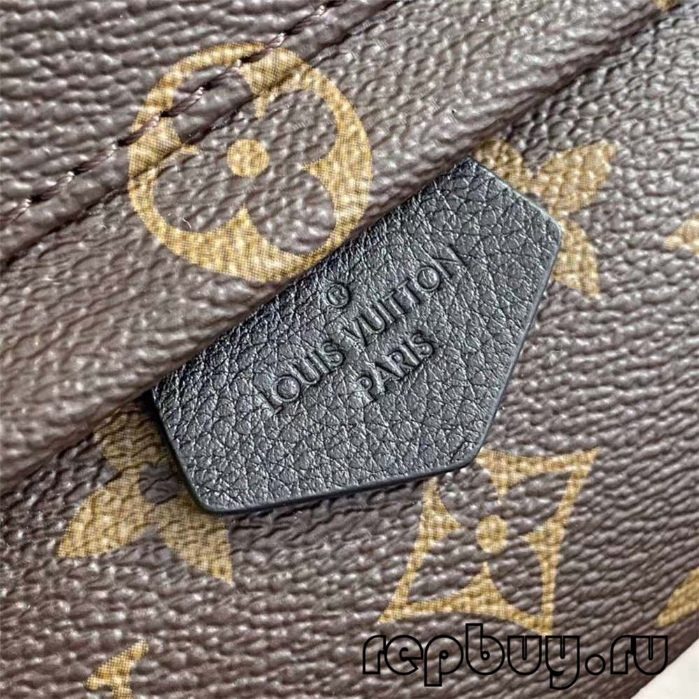 Louis Vuitton M44873 Palm Spring 23cm backpack top replica bags (2022 Special)-Best Quality Fake designer Bag Review, Replica designer bag ru