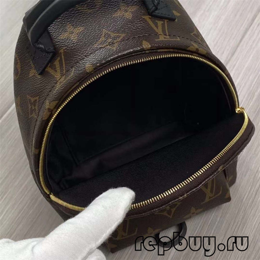 Louis Vuitton M44873 Palm Spring 23cm backpack top replica bags (2022 Special)-Best Quality Fake designer Bag Review, Replica designer bag ru