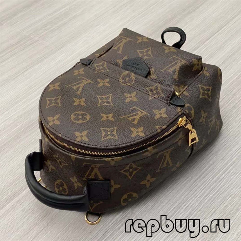 Louis Vuitton M44873 Palm Spring 23cm backpack top replica bags (2022 Special)-Best Quality Fake designer Bag Review, Replica designer bag ru