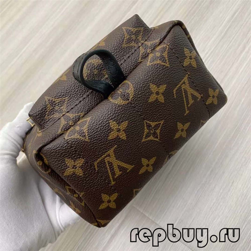 Louis Vuitton M44873 Palm Spring 23cm backpack top replica bags (2022 Special)-Best Quality Fake designer Bag Review, Replica designer bag ru
