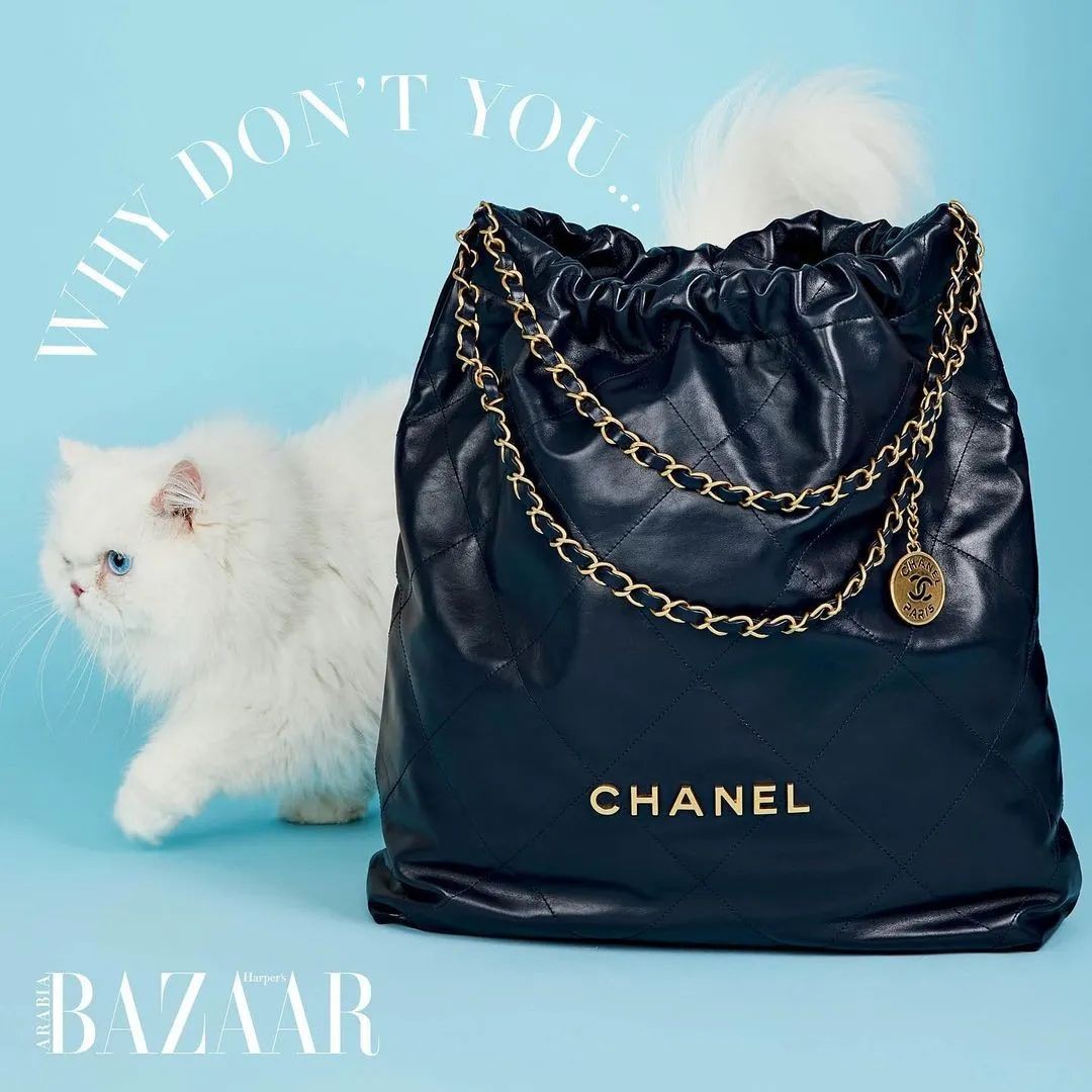 Carryall or Goyard Hobo, which one should I choose? (2023 Updated)-Best Quality Fake designer Bag Review, Replica designer bag ru Carryall or Goyard Hobo, which one should I choose? (2023 Updated)-Best Quality Fake designer Bag Review, Replica designer bag ru