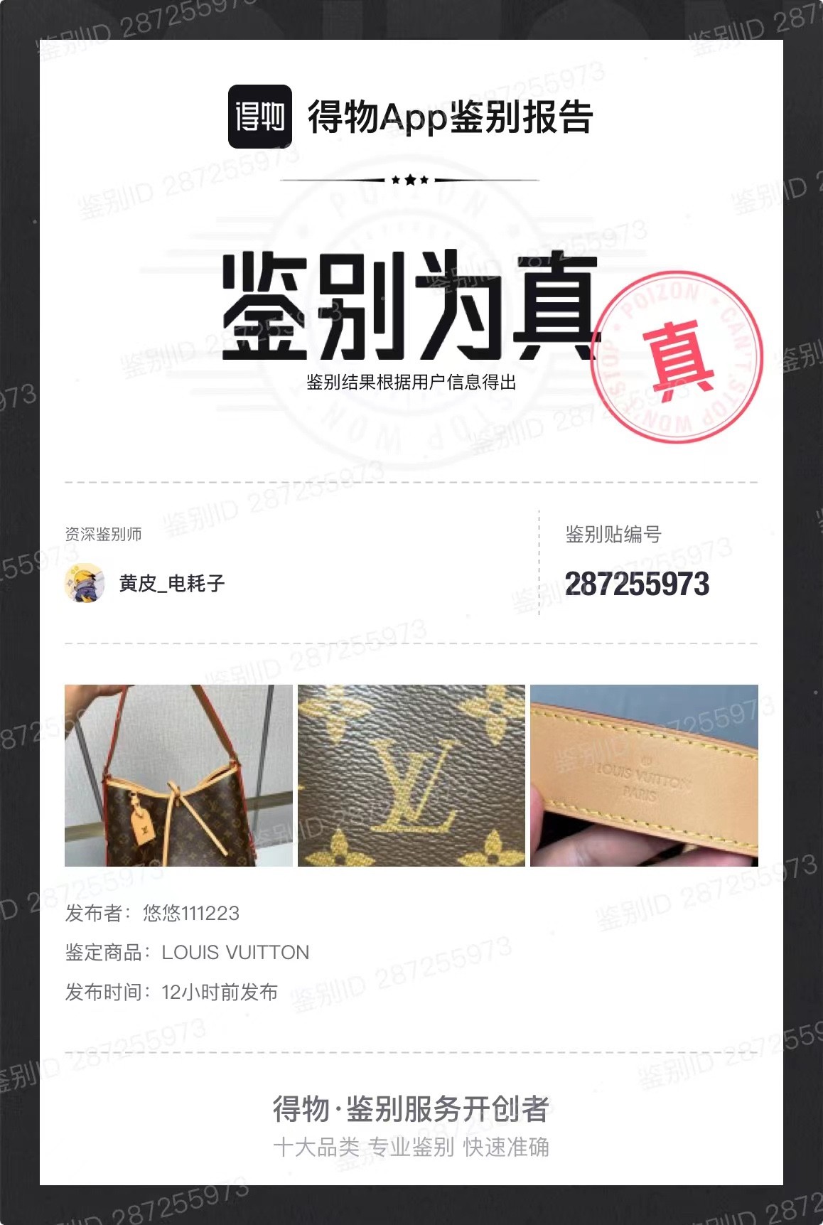 Shebag Louis Vuitton Carry all small M46203 collection(2024 Aug updated)-Best Quality Fake designer Bag Review, Replica designer bag ru Shebag Louis Vuitton Carry all small M46203 collection(2024 Aug updated)-Best Quality Fake designer Bag Review, Replica designer bag ru