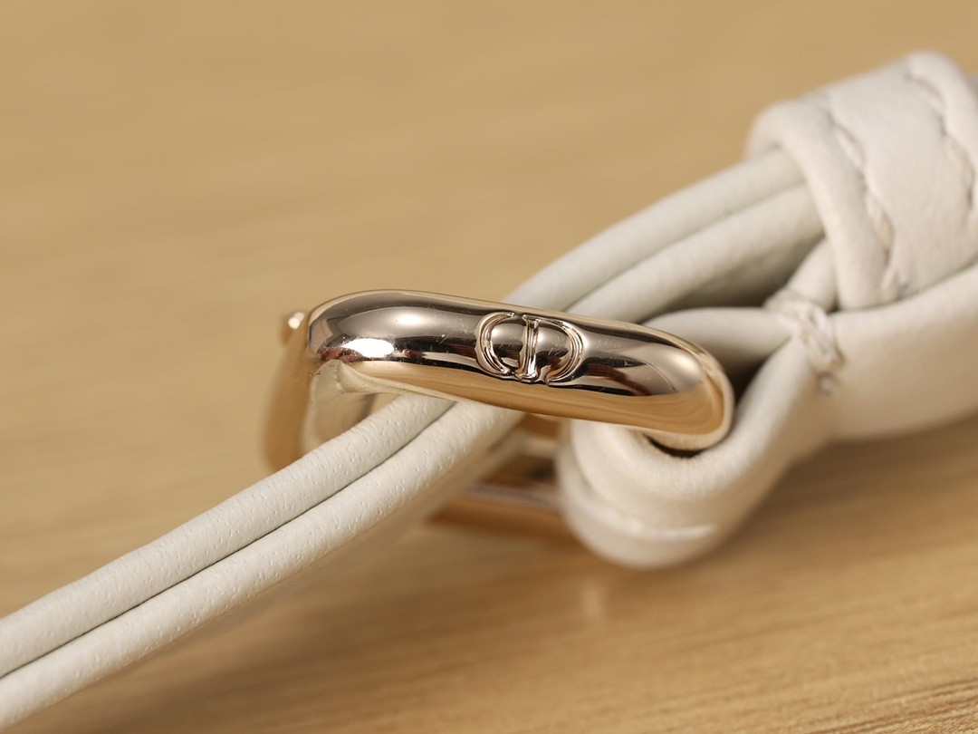 Shebag Lady Dior D joy bag full review（2024 Aug updated）-Best Quality Fake designer Bag Review, Replica designer bag ru