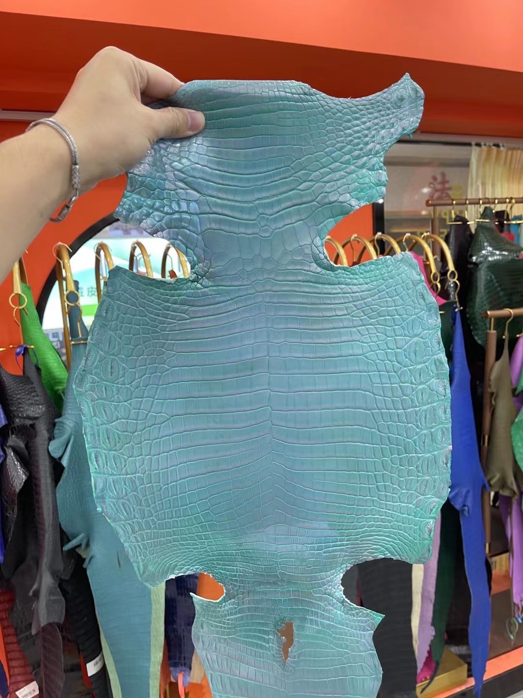 Last 24 hours for 20% off！Shebag new comming Nile crocodile leather show！(2025 Jan update)-Best Quality Fake designer Bag Review, Replica designer bag ru