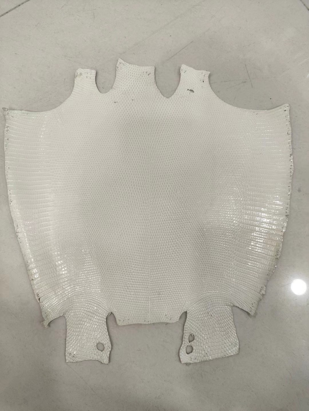 Last 24 hours for 20% off！Shebag new comming Nile crocodile leather show！(2025 Jan update)-Best Quality Fake designer Bag Review, Replica designer bag ru