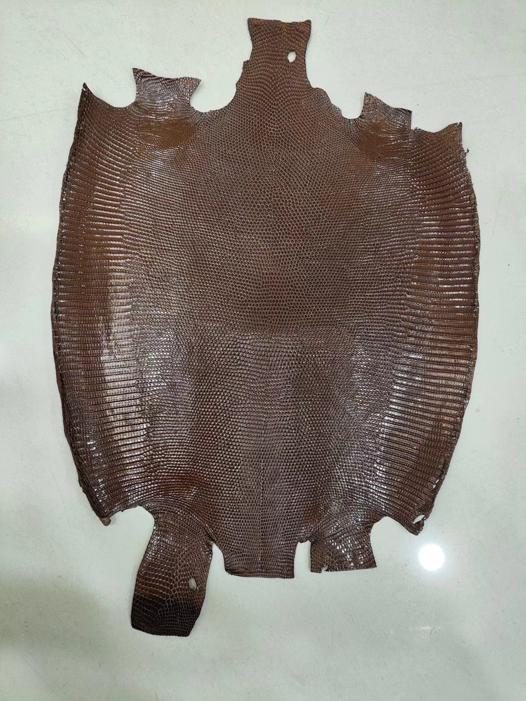 Last 24 hours for 20% off！Shebag new comming Nile crocodile leather show！(2025 Jan update)-Best Quality Fake designer Bag Review, Replica designer bag ru
