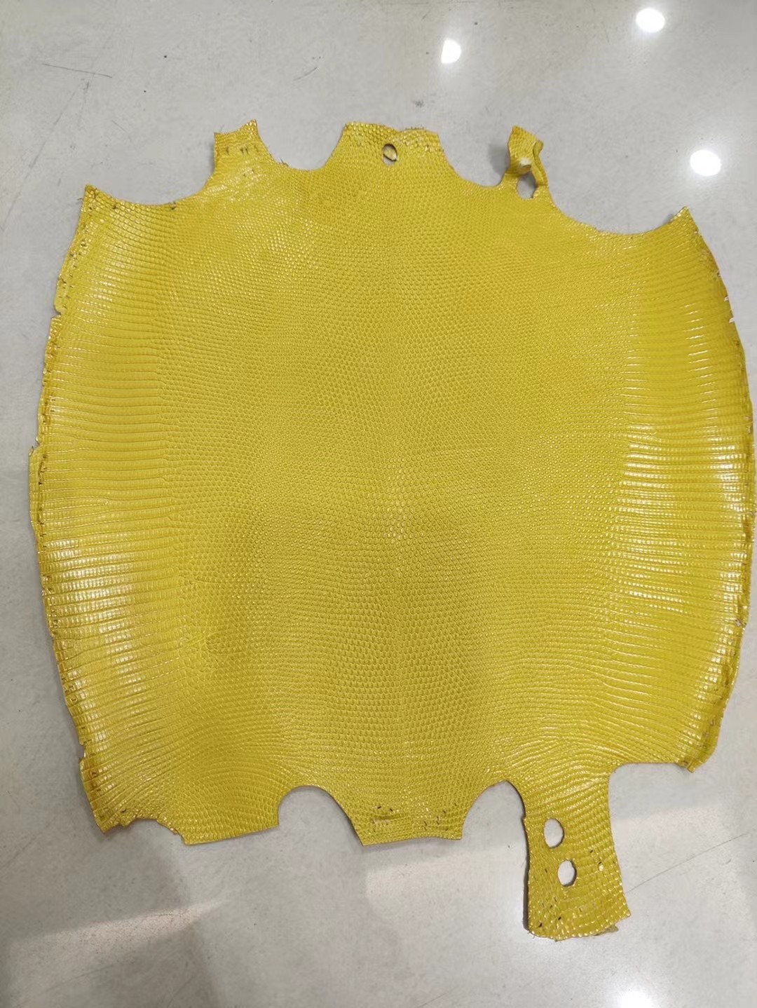 Last 24 hours for 20% off！Shebag new comming Nile crocodile leather show！(2025 Jan update)-Best Quality Fake designer Bag Review, Replica designer bag ru