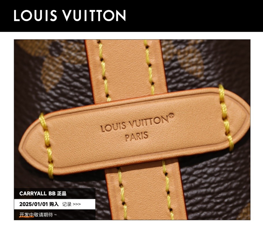 Shebag Super replica Louis Vuitton carry all bb bag full review(2025 Mar updated)-Best Quality Fake designer Bag Review, Replica designer bag ru