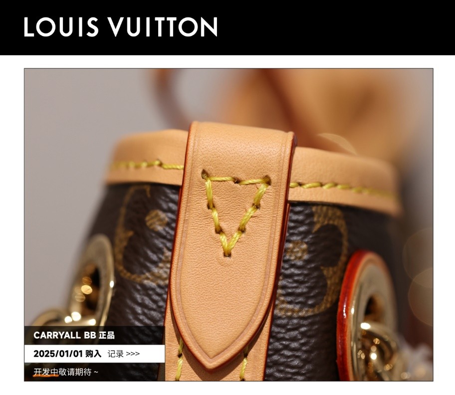 Shebag Super replica Louis Vuitton carry all bb bag full review(2025 Mar updated)-Best Quality Fake designer Bag Review, Replica designer bag ru