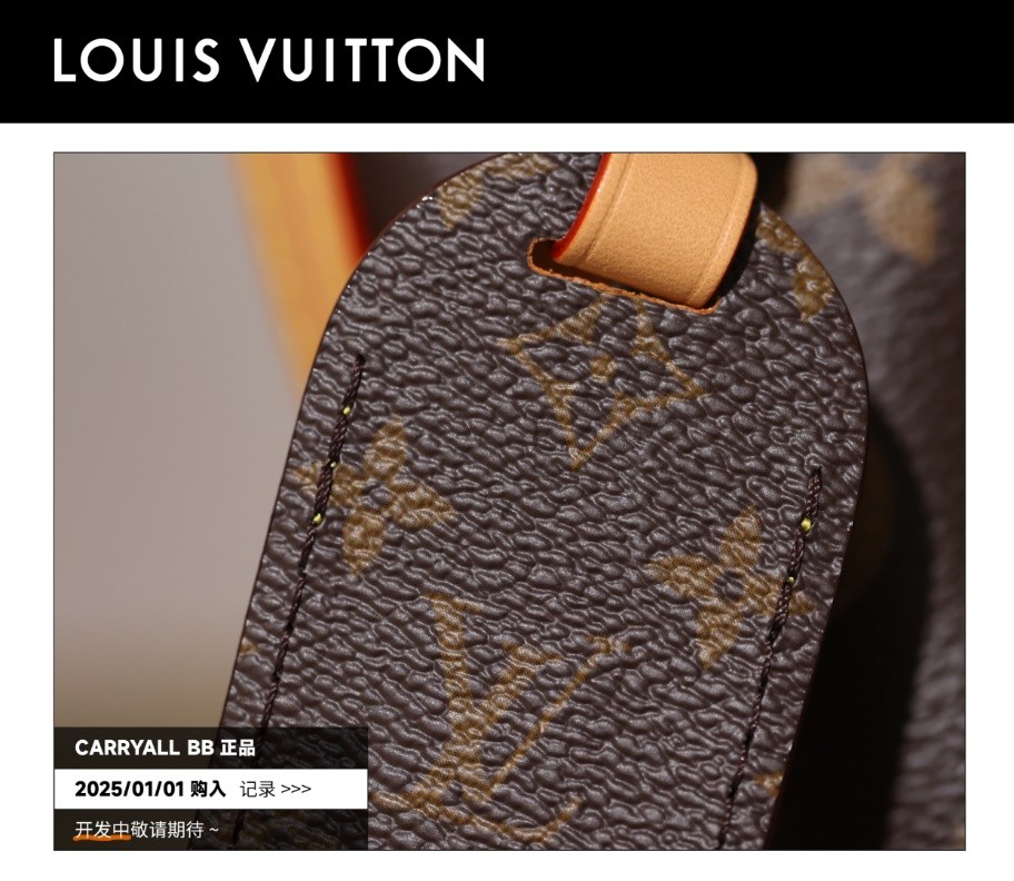 Shebag Super replica Louis Vuitton carry all bb bag full review(2025 Mar updated)-Best Quality Fake designer Bag Review, Replica designer bag ru