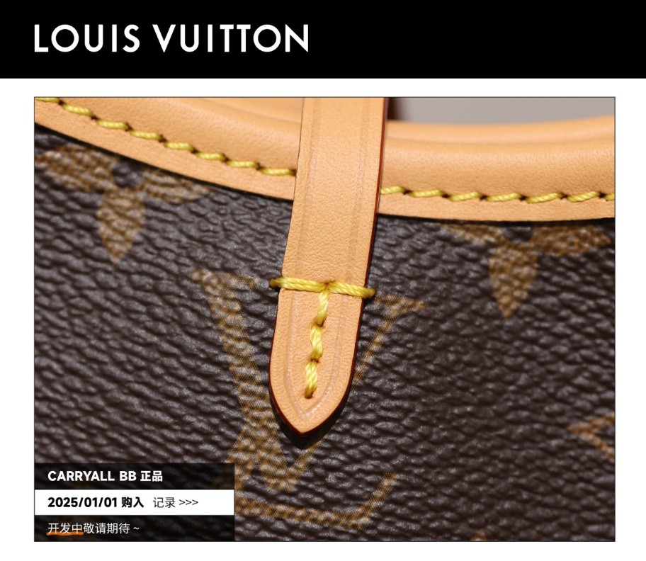 Shebag Super replica Louis Vuitton carry all bb bag full review(2025 Mar updated)-Best Quality Fake designer Bag Review, Replica designer bag ru