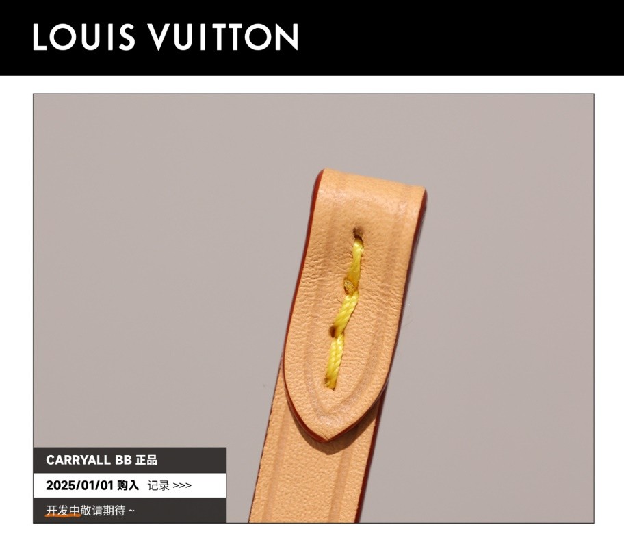 Shebag Super replica Louis Vuitton carry all bb bag full review(2025 Mar updated)-Best Quality Fake designer Bag Review, Replica designer bag ru