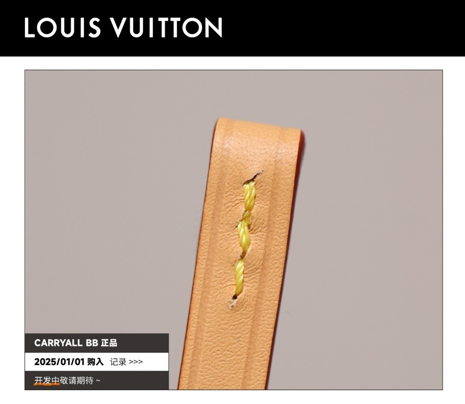 Shebag Super replica Louis Vuitton carry all bb bag full review(2025 Mar updated)-Best Quality Fake designer Bag Review, Replica designer bag ru