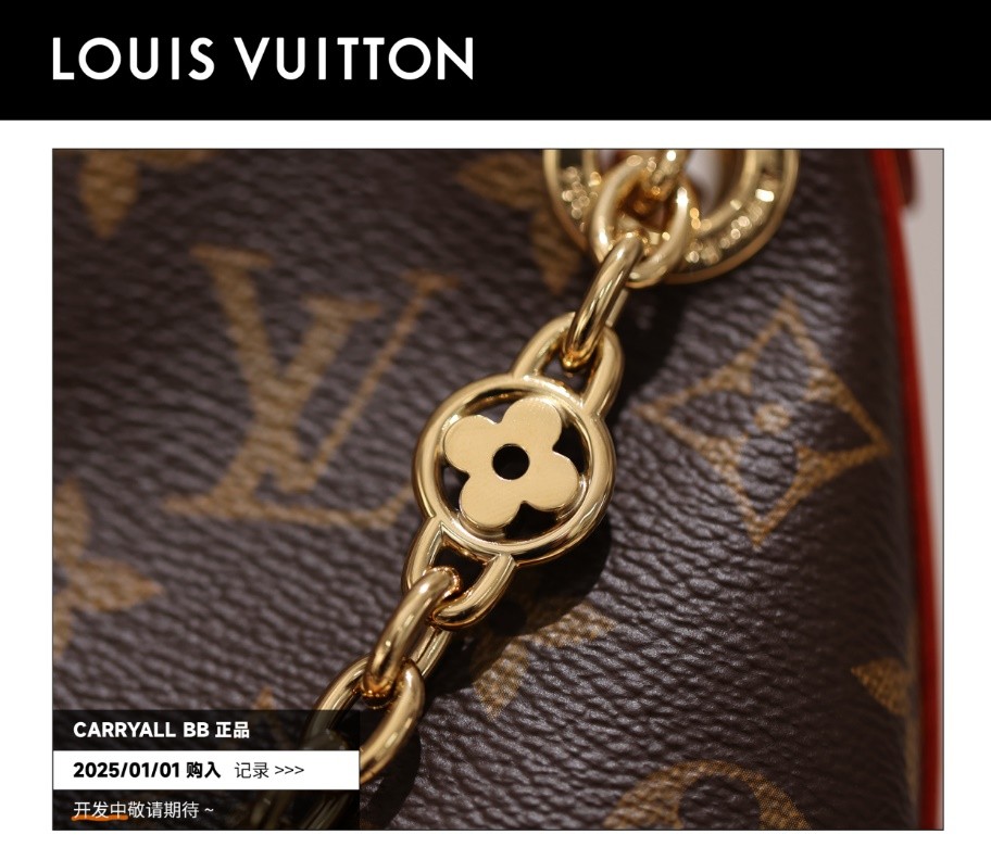 Shebag Super replica Louis Vuitton carry all bb bag full review(2025 Mar updated)-Best Quality Fake designer Bag Review, Replica designer bag ru