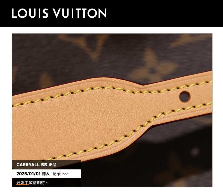 Shebag Super replica Louis Vuitton carry all bb bag full review(2025 Mar updated)-Best Quality Fake designer Bag Review, Replica designer bag ru