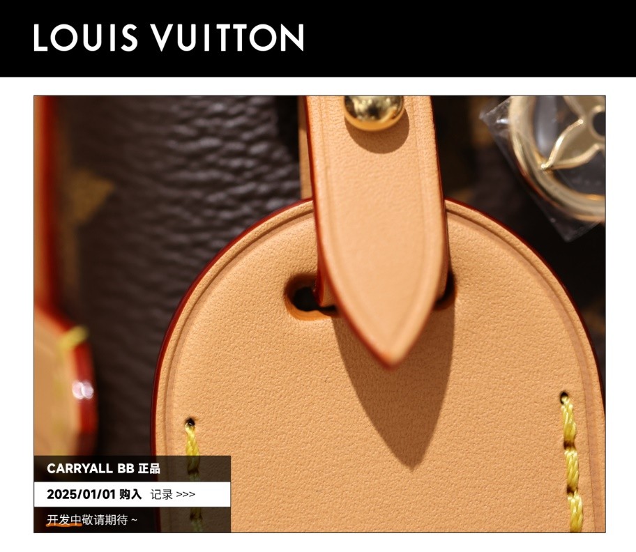 Shebag Super replica Louis Vuitton carry all bb bag full review(2025 Mar updated)-Best Quality Fake designer Bag Review, Replica designer bag ru