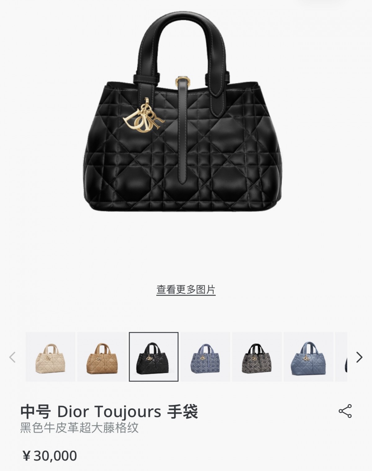 Shbag best replica Dior Toujours bag 2025 medium size new arrival (2025 Apr updated)-Best Quality Fake designer Bag Review, Replica designer bag ru Shbag best replica Dior Toujours bag 2025 medium size new arrival (2025 Apr updated)-Best Quality Fake designer Bag Review, Replica designer bag ru