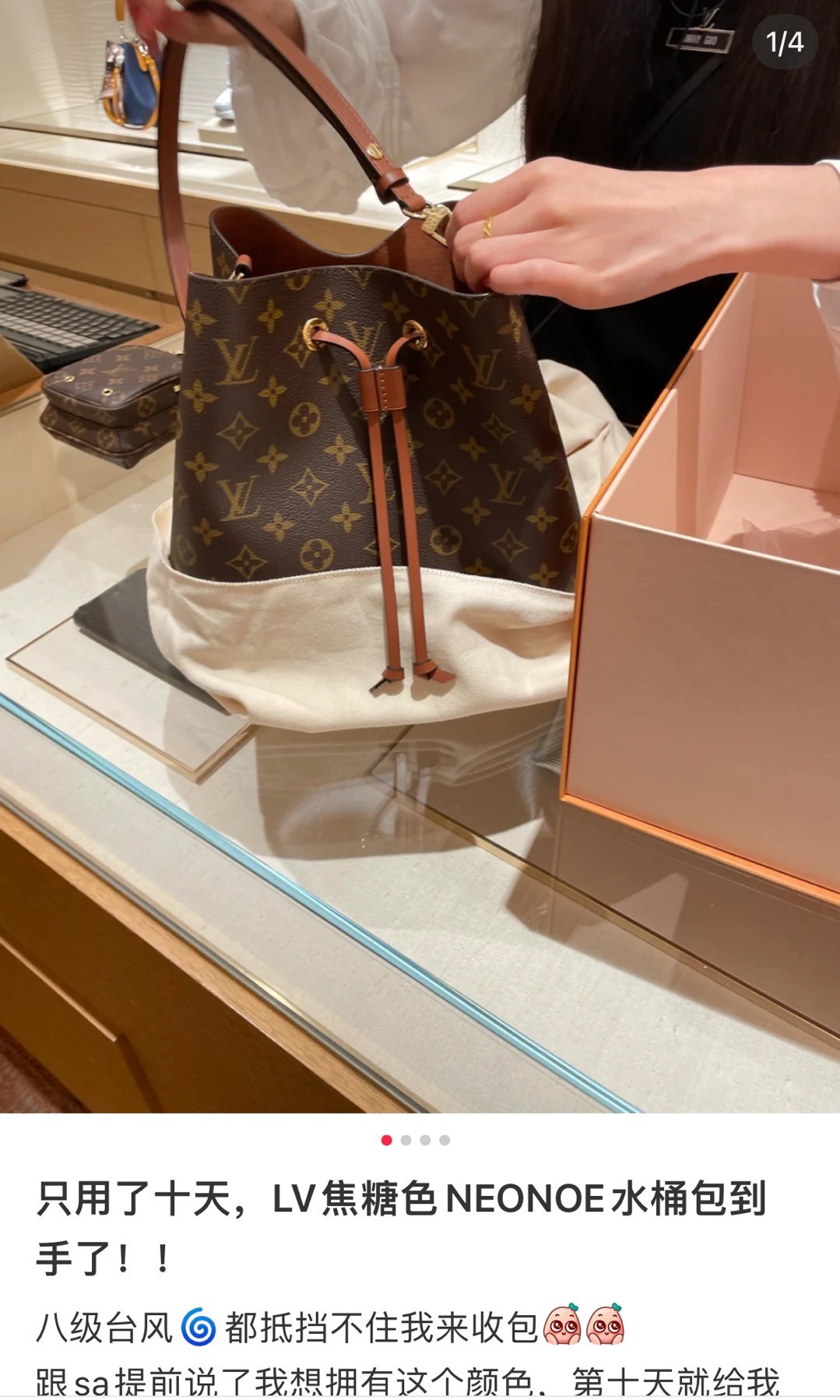 Shebag Super replica Louis Vuitton M44020 NéoNoé bag full review(2025 Apr updated)-Best Quality Fake designer Bag Review, Replica designer bag ru