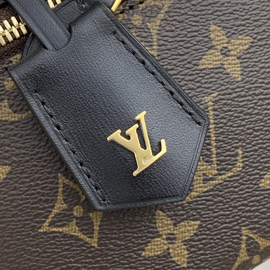 Shebag Super replica Louis Vuitton M45165 Vanity case bag review (2025 Apr updated)-Best Quality Fake designer Bag Review, Replica designer bag ru