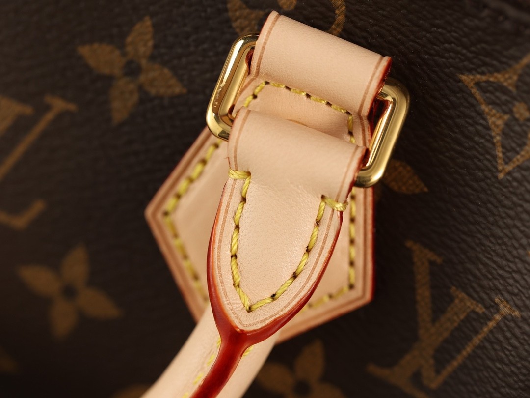 Shebag super replica Louis Vuitton M46234 SPEEDY BANDOULIÈRE 20-Best Quality Fake designer Bag Review, Replica designer bag ru