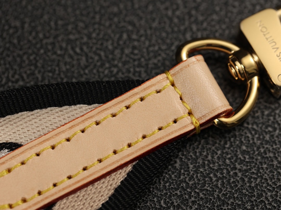 Shebag super replica Louis Vuitton M46234 SPEEDY BANDOULIÈRE 20-Best Quality Fake designer Bag Review, Replica designer bag ru