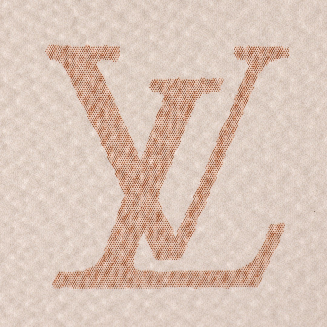 Shebag Super replica Louis Vuitton M46906 Speedy 20 bag review (2025 May updated)-Best Quality Fake designer Bag Review, Replica designer bag ru