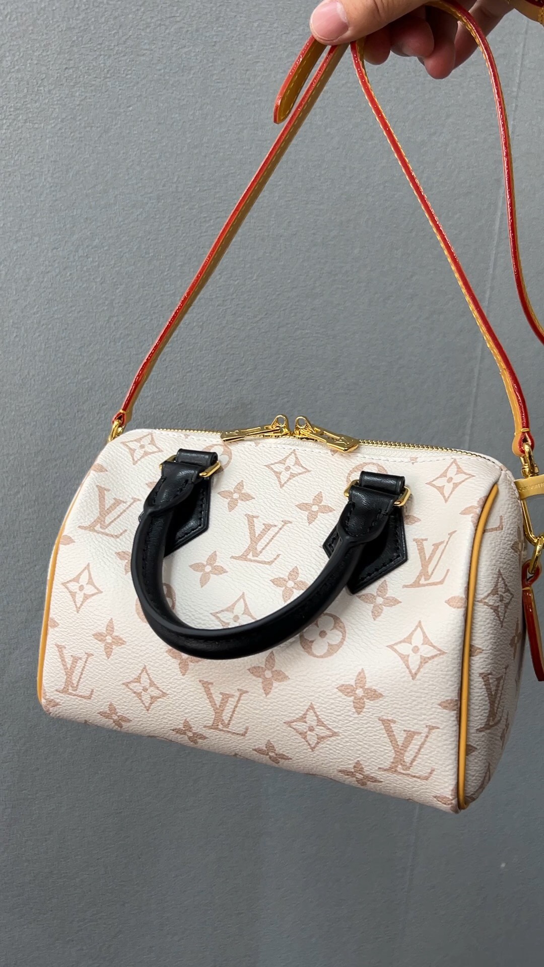 Shebag Super replica Louis Vuitton M46906 Speedy 20 bag review (2025 May updated)-Best Quality Fake designer Bag Review, Replica designer bag ru