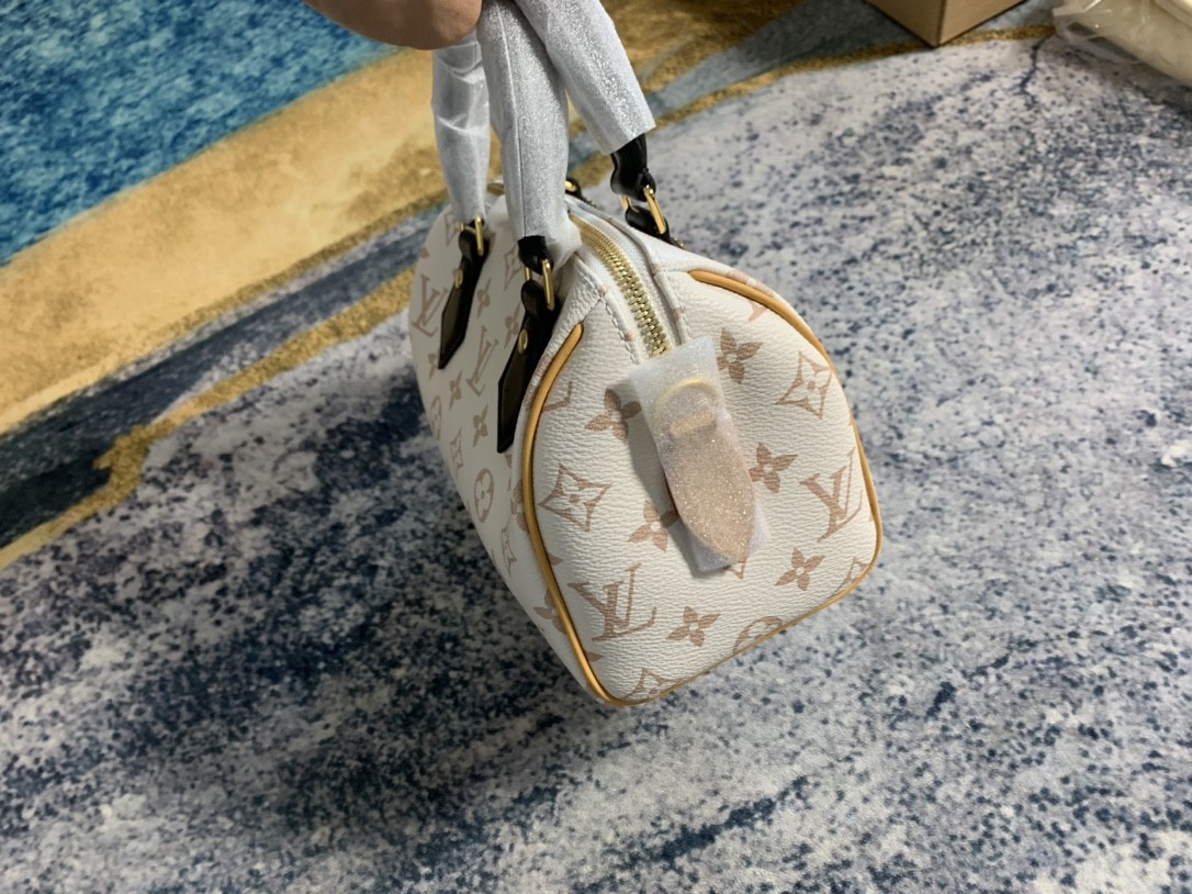 Shebag Super replica Louis Vuitton M46906 Speedy 20 bag review (2025 May updated)-Best Quality Fake designer Bag Review, Replica designer bag ru