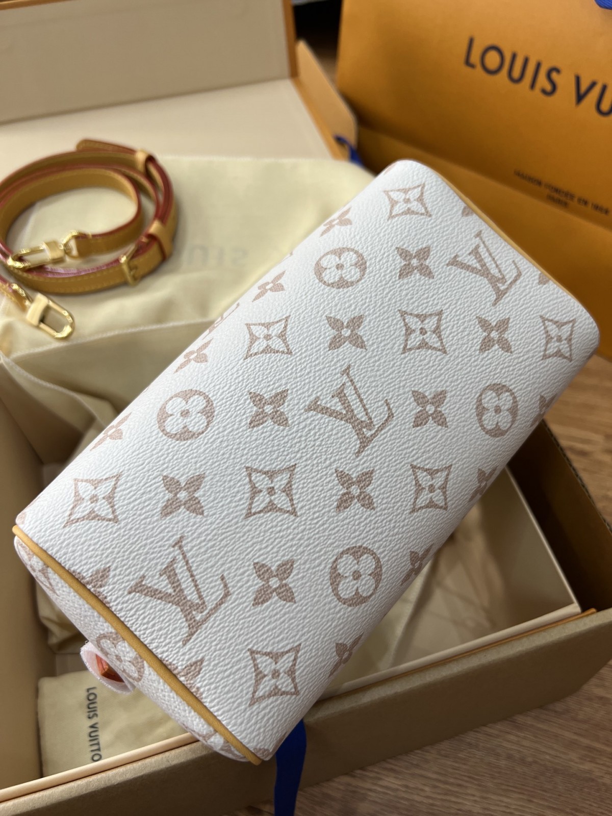 Shebag Super replica Louis Vuitton M46906 Speedy 20 bag review (2025 May updated)-Best Quality Fake designer Bag Review, Replica designer bag ru