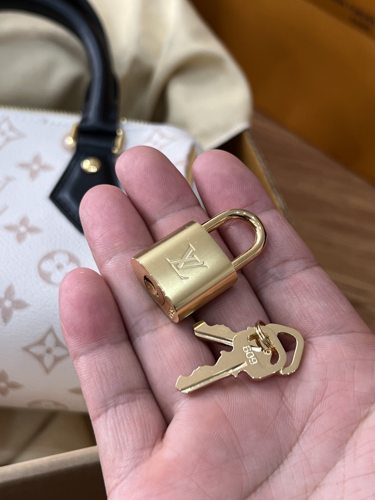 Shebag Super replica Louis Vuitton M46906 Speedy 20 bag review (2025 May updated)-Best Quality Fake designer Bag Review, Replica designer bag ru