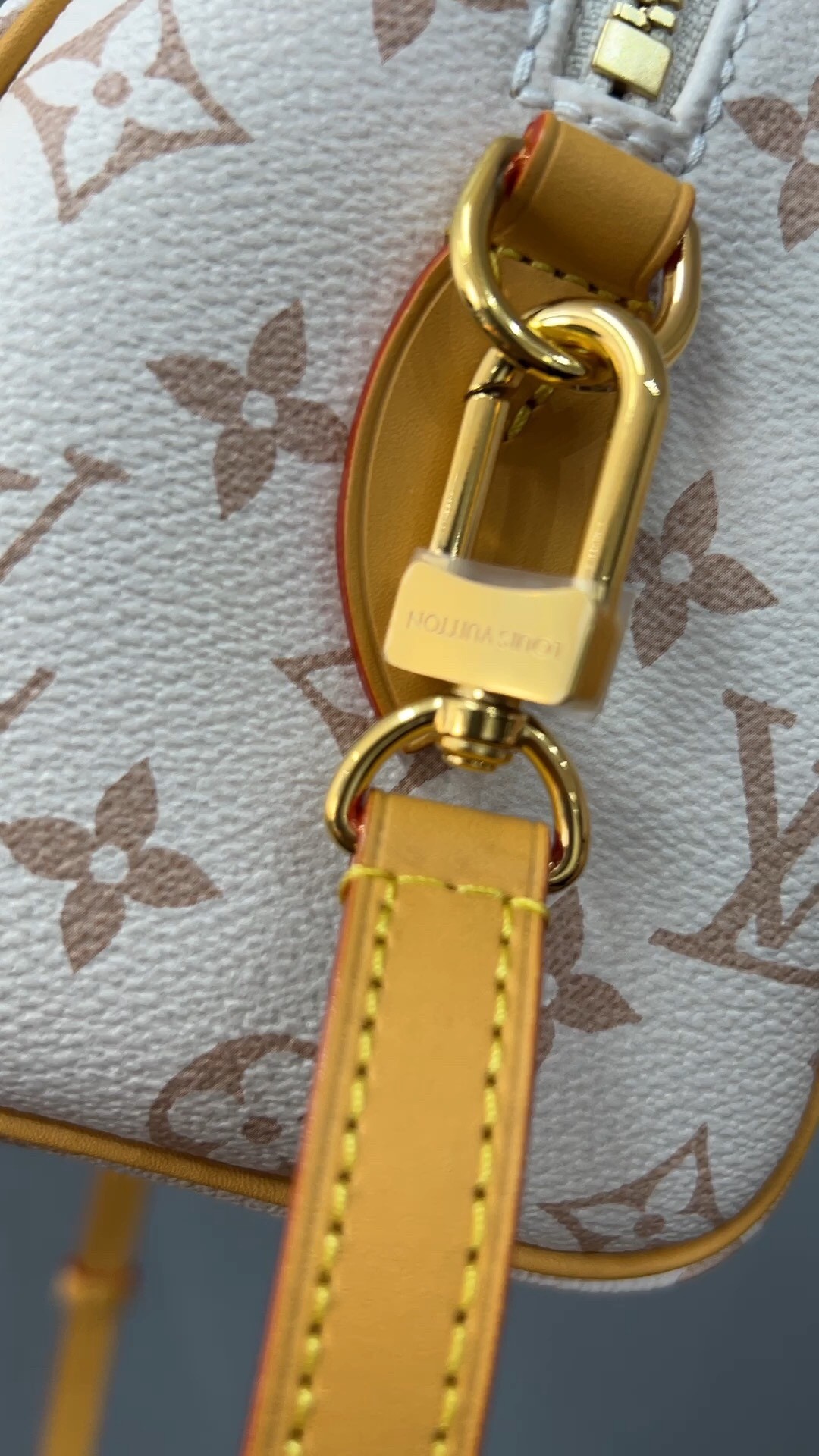 Shebag Super replica Louis Vuitton M46906 Speedy 20 bag review (2025 May updated)-Best Quality Fake designer Bag Review, Replica designer bag ru
