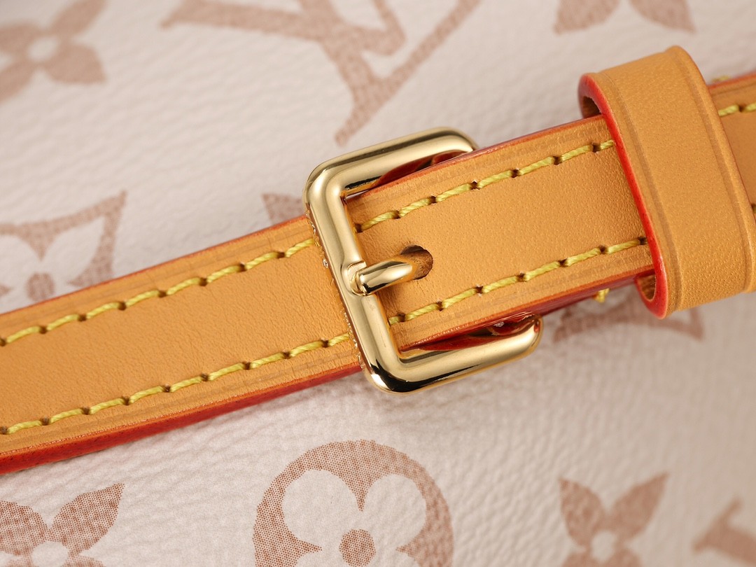 Shebag Super replica Louis Vuitton M46906 Speedy 20 bag review (2025 May updated)-Best Quality Fake designer Bag Review, Replica designer bag ru
