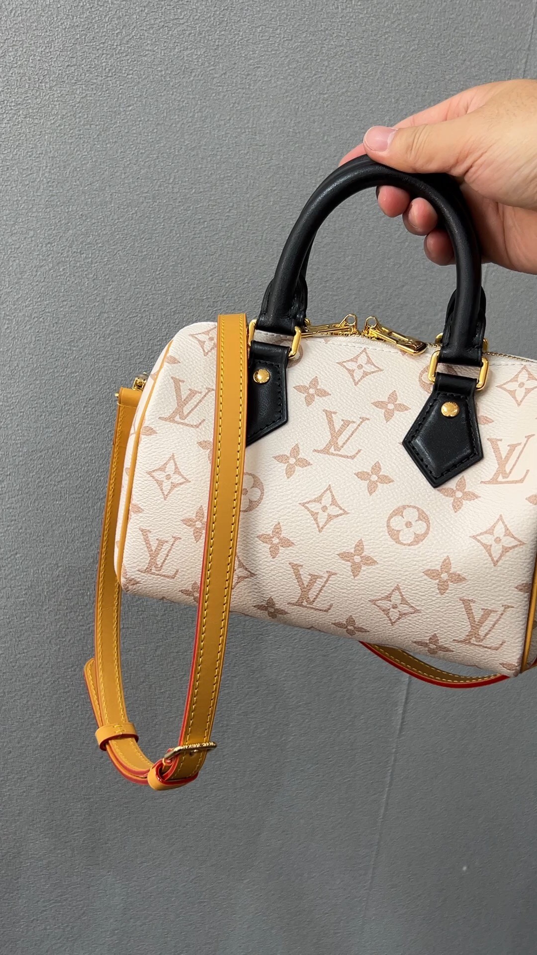 Shebag Super replica Louis Vuitton M46906 Speedy 20 bag review (2025 May updated)-Best Quality Fake designer Bag Review, Replica designer bag ru