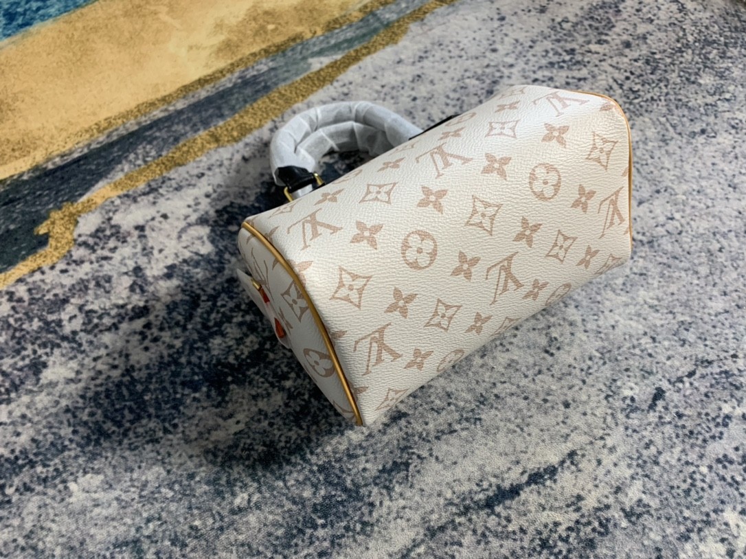 Shebag Super replica Louis Vuitton M46906 Speedy 20 bag review (2025 May updated)-Best Quality Fake designer Bag Review, Replica designer bag ru