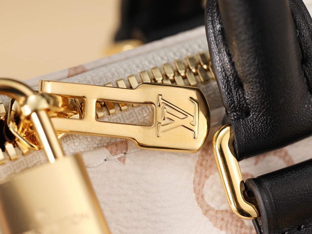 Shebag Super replica Louis Vuitton M46906 Speedy 20 bag review (2025 May updated)-Best Quality Fake designer Bag Review, Replica designer bag ru