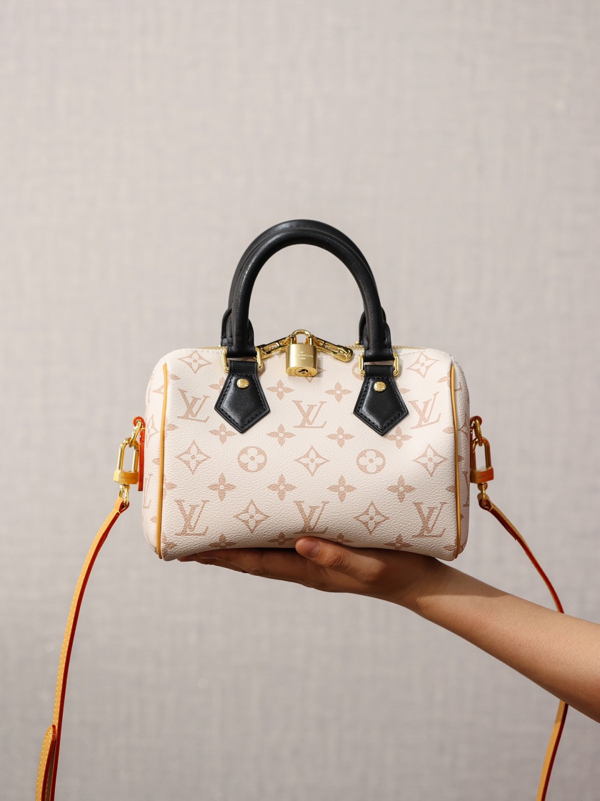Shebag Super replica Louis Vuitton M46906 Speedy 20 bag review (2025 May updated)-Best Quality Fake designer Bag Review, Replica designer bag ru