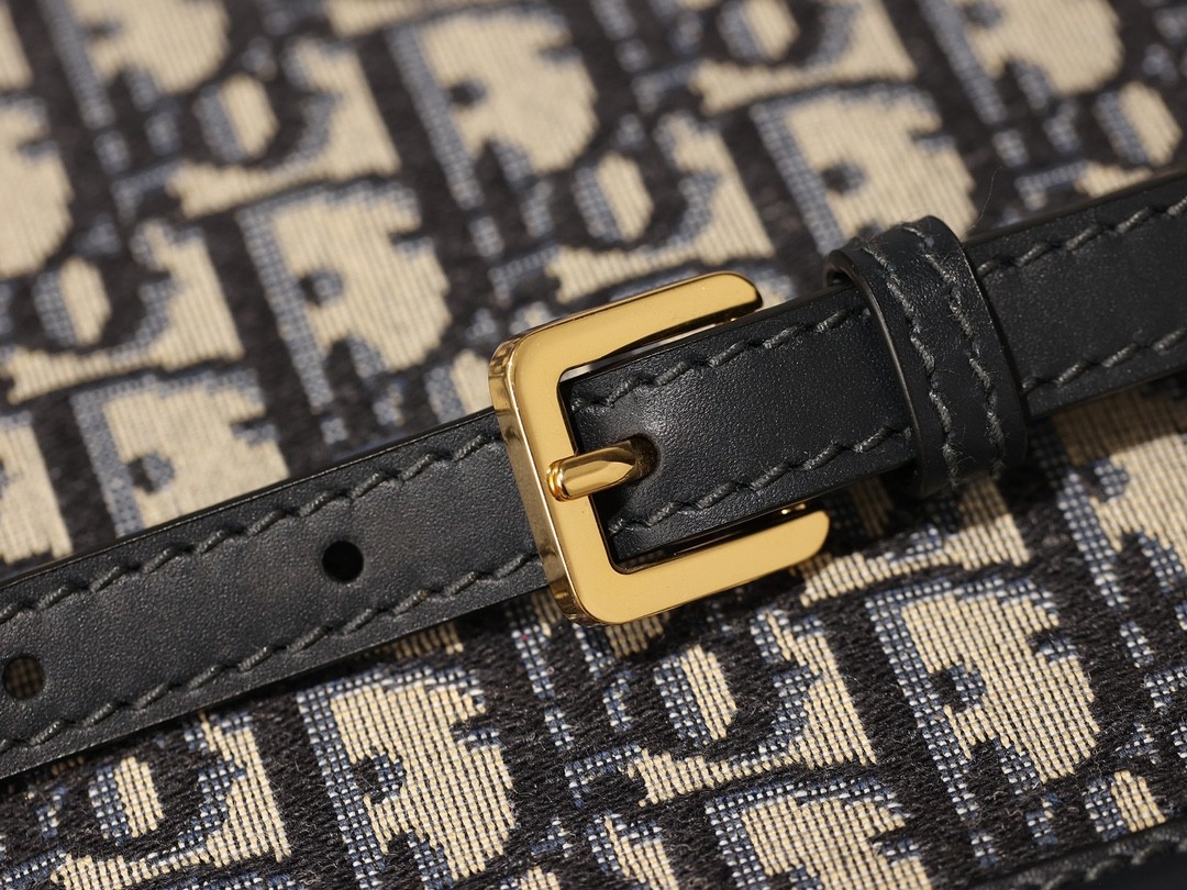 Shebag Dior super replica medium size C’EST DIOR bag review(2025 July updated)-Best Quality Fake designer Bag Review, Replica designer bag ru Shebag Dior super replica medium size C’EST DIOR bag review(2025 July updated)-Best Quality Fake designer Bag Review, Replica designer bag ru