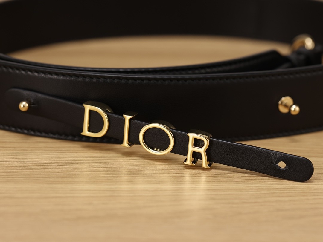 Shebag Super replica Lady Dior Small size in black bag review (2025 July Updated)-Best Quality Fake designer Bag Review, Replica designer bag ru