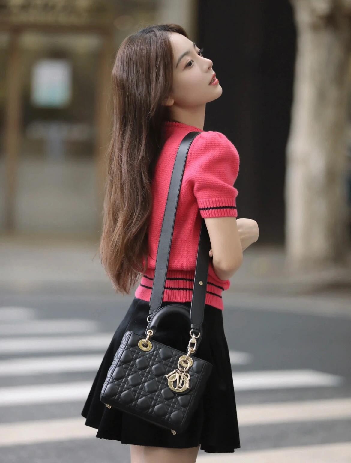 Shebag Super replica Lady Dior Small size in black bag review (2025 July Updated)-Best Quality Fake designer Bag Review, Replica designer bag ru