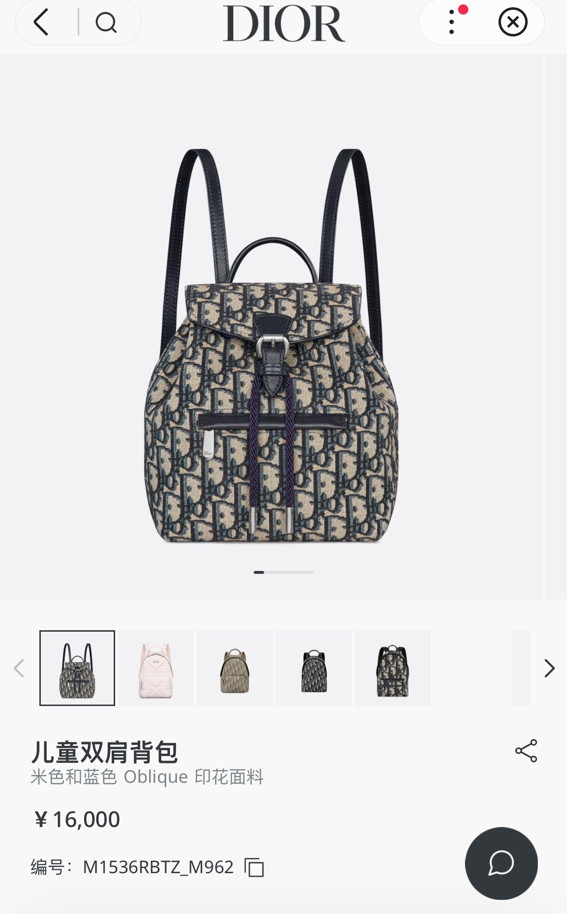 Shebag Super replica Dior backpack bag review (August 2025 updated)-Best Quality Fake designer Bag Review, Replica designer bag ru