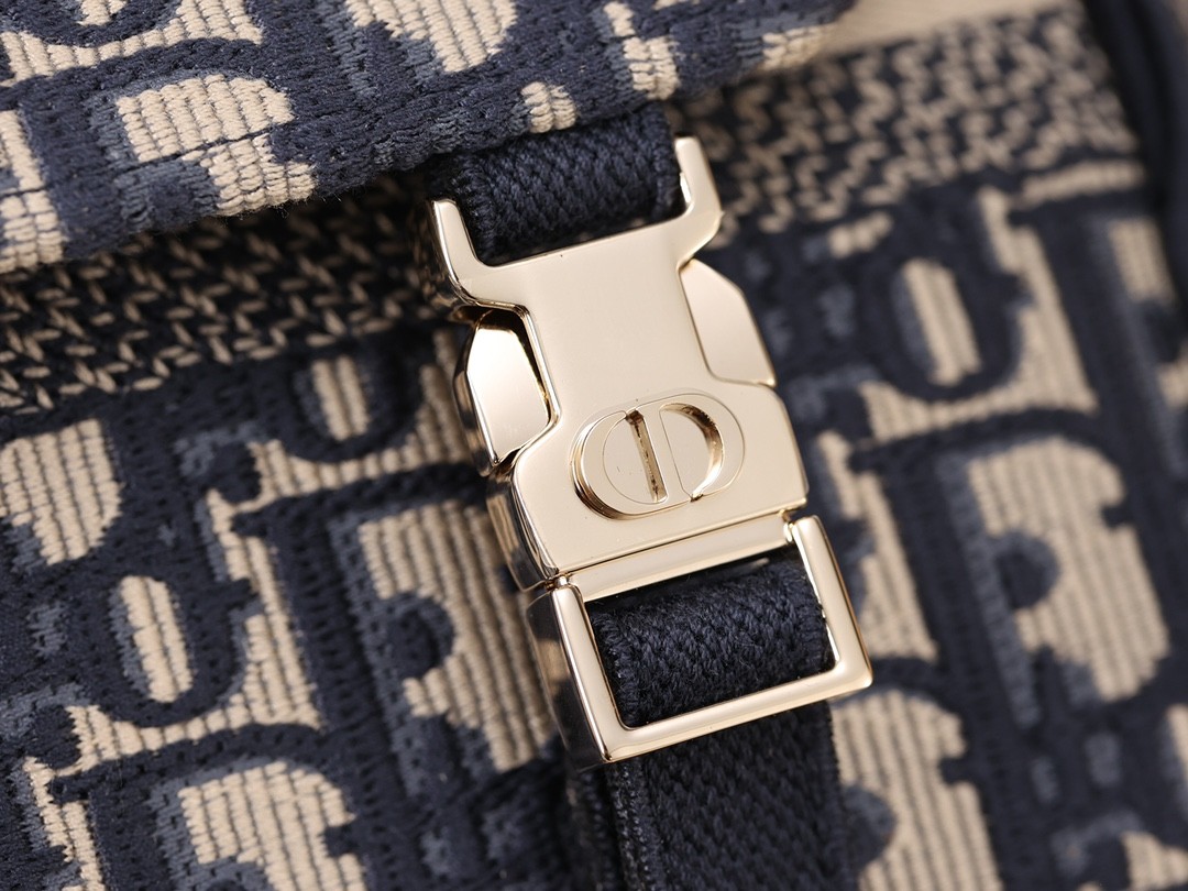 Shebag Super replica Dior Camp bag review(August 2025 Updated)-Best Quality Fake designer Bag Review, Replica designer bag ru Shebag Super replica Dior Camp bag review(August 2025 Updated)-Best Quality Fake designer Bag Review, Replica designer bag ru
