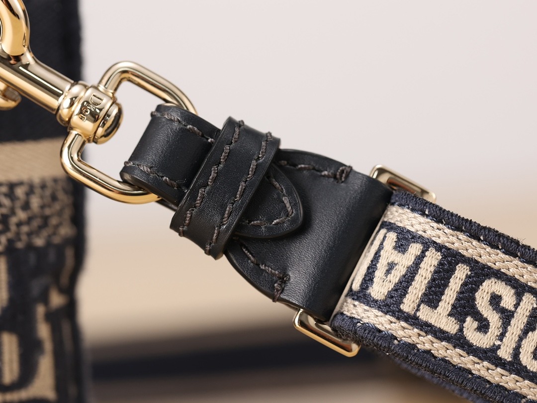 Shebag Super replica Dior Camp bag review(August 2025 Updated)-Best Quality Fake designer Bag Review, Replica designer bag ru Shebag Super replica Dior Camp bag review(August 2025 Updated)-Best Quality Fake designer Bag Review, Replica designer bag ru