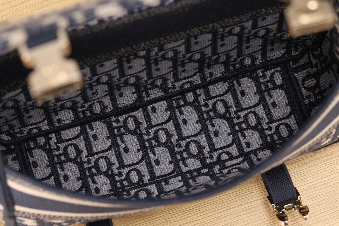 Shebag Super replica Dior Camp bag review(August 2025 Updated)-Best Quality Fake designer Bag Review, Replica designer bag ru Shebag Super replica Dior Camp bag review(August 2025 Updated)-Best Quality Fake designer Bag Review, Replica designer bag ru