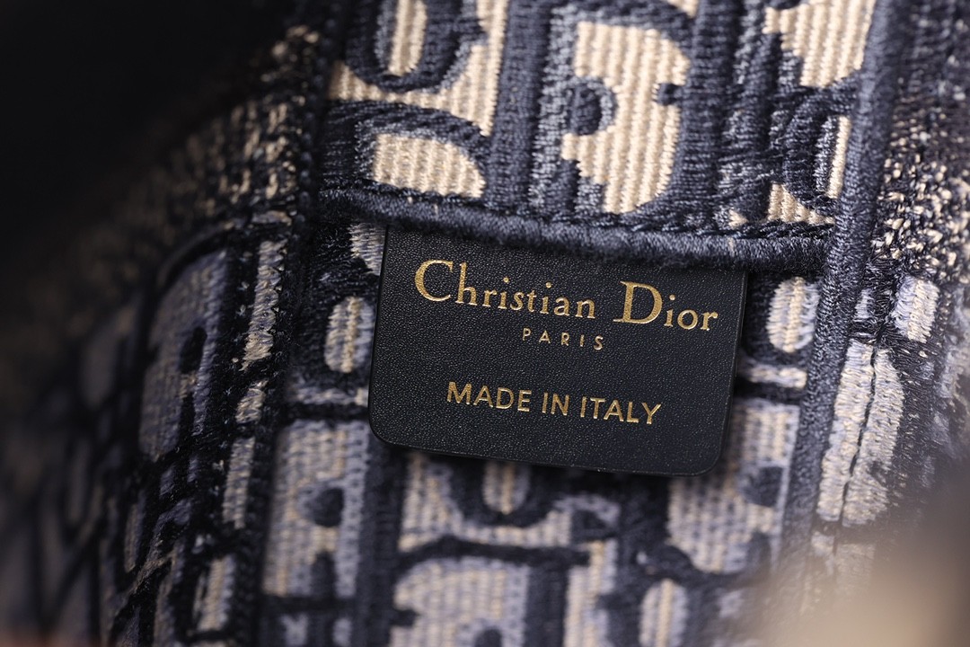 Shebag Super replica Dior Camp bag review(August 2025 Updated)-Best Quality Fake designer Bag Review, Replica designer bag ru Shebag Super replica Dior Camp bag review(August 2025 Updated)-Best Quality Fake designer Bag Review, Replica designer bag ru
