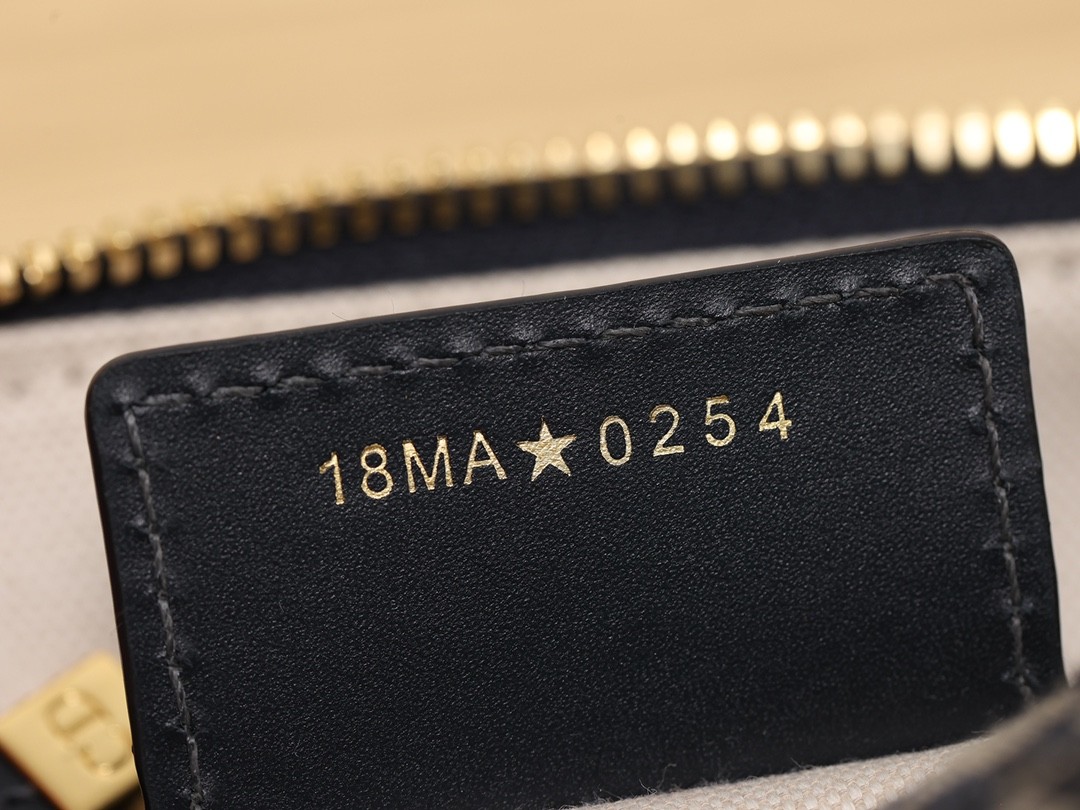 Shebag Super replica Dior groove 20 bag review(August 2025 updated)-Best Quality Fake designer Bag Review, Replica designer bag ru