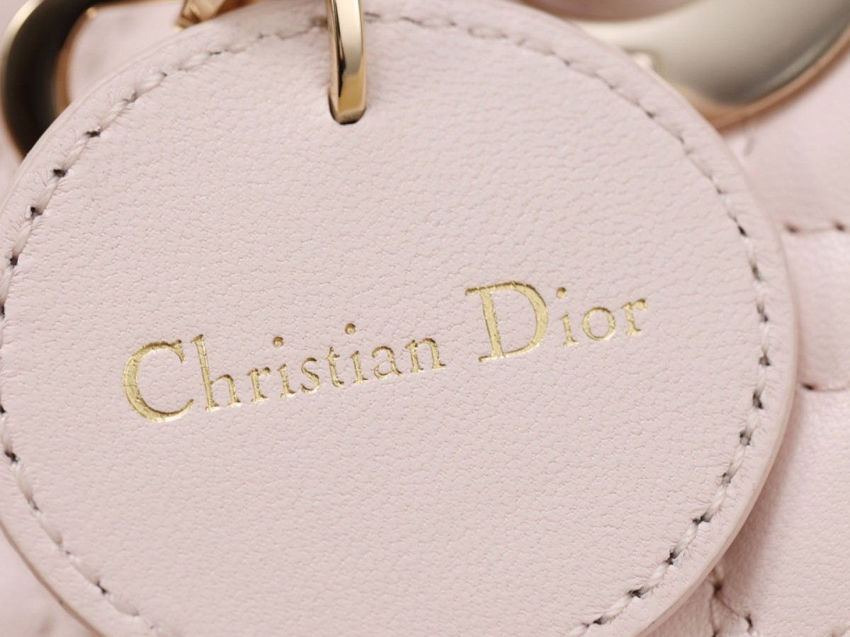 Shebag Super replica Dior mini tote bag review(August 2025 updated)-Best Quality Fake designer Bag Review, Replica designer bag ru
